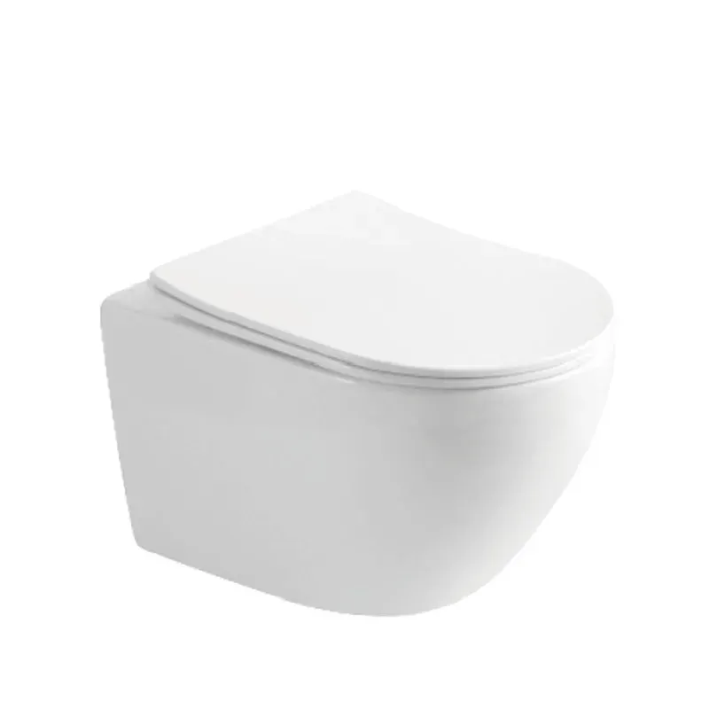 Wall Hung Toilet in White