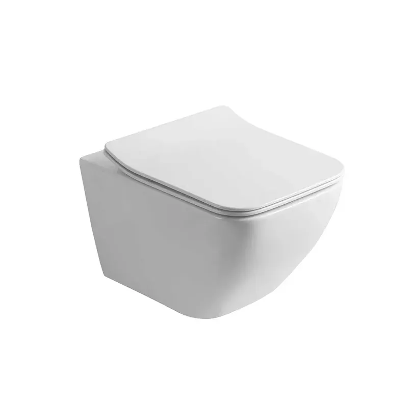 Wall Hung Toilet in White
