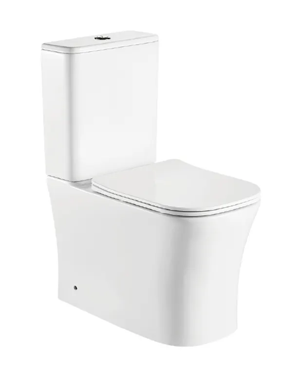 Two Piece Toilet in White