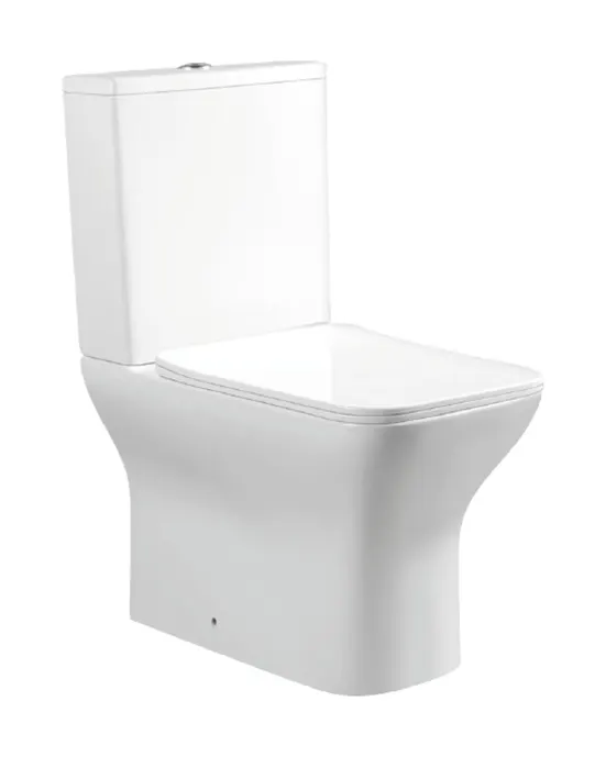 Two Piece Toilet in White