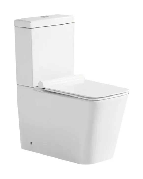 Two Piece Toilet in White