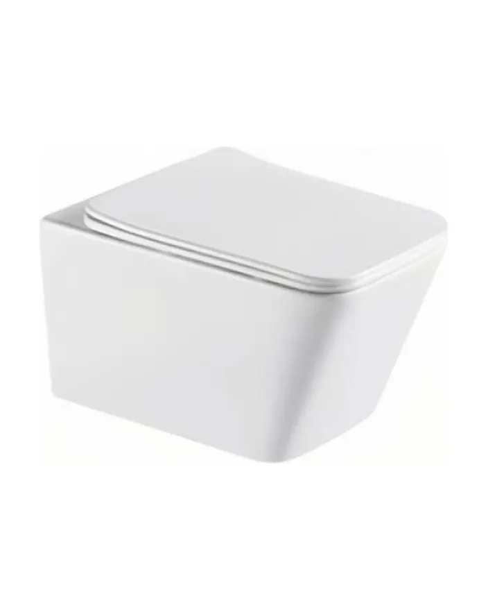 Wall Hung Toilet in White