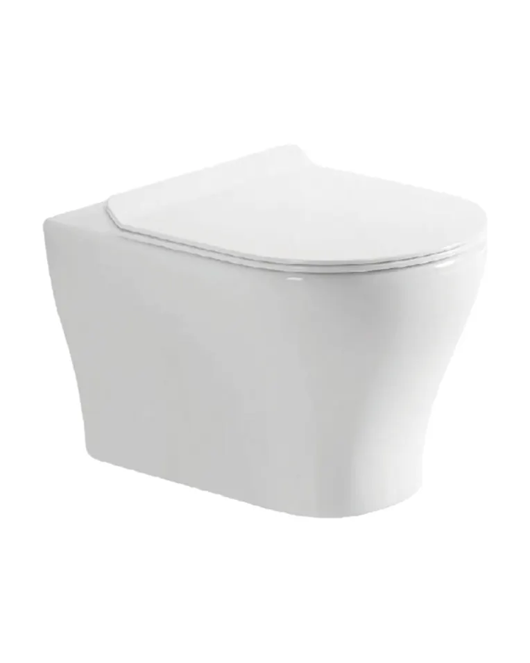 Wall Hung Toilet in White